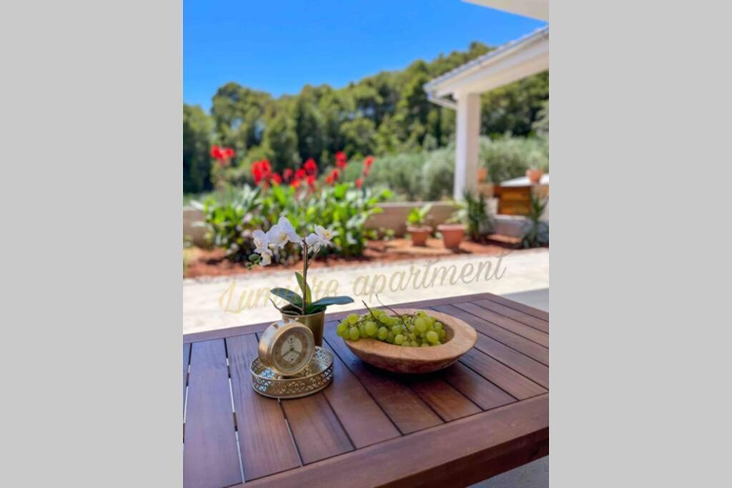 Seaview Pool Apartment-Lumiere, Island Hvar-Gdinj Dış mekan fotoğraf